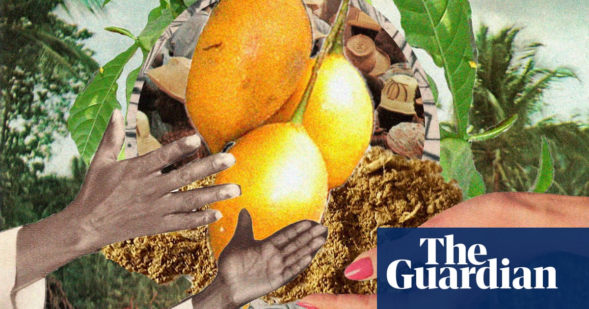 The psychedelic ibogaine can treat addiction. The race is on to cash in